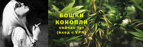дурь Арсеньев