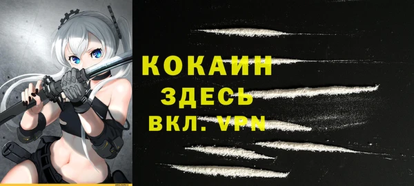 дурь Арсеньев