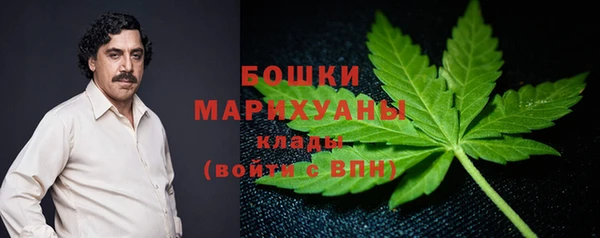 дурь Арсеньев