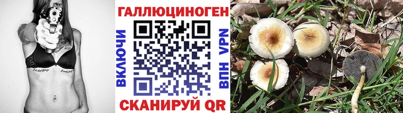 где купить   Сосновоборск  Галлюциногенные грибы GOLDEN TEACHER 
